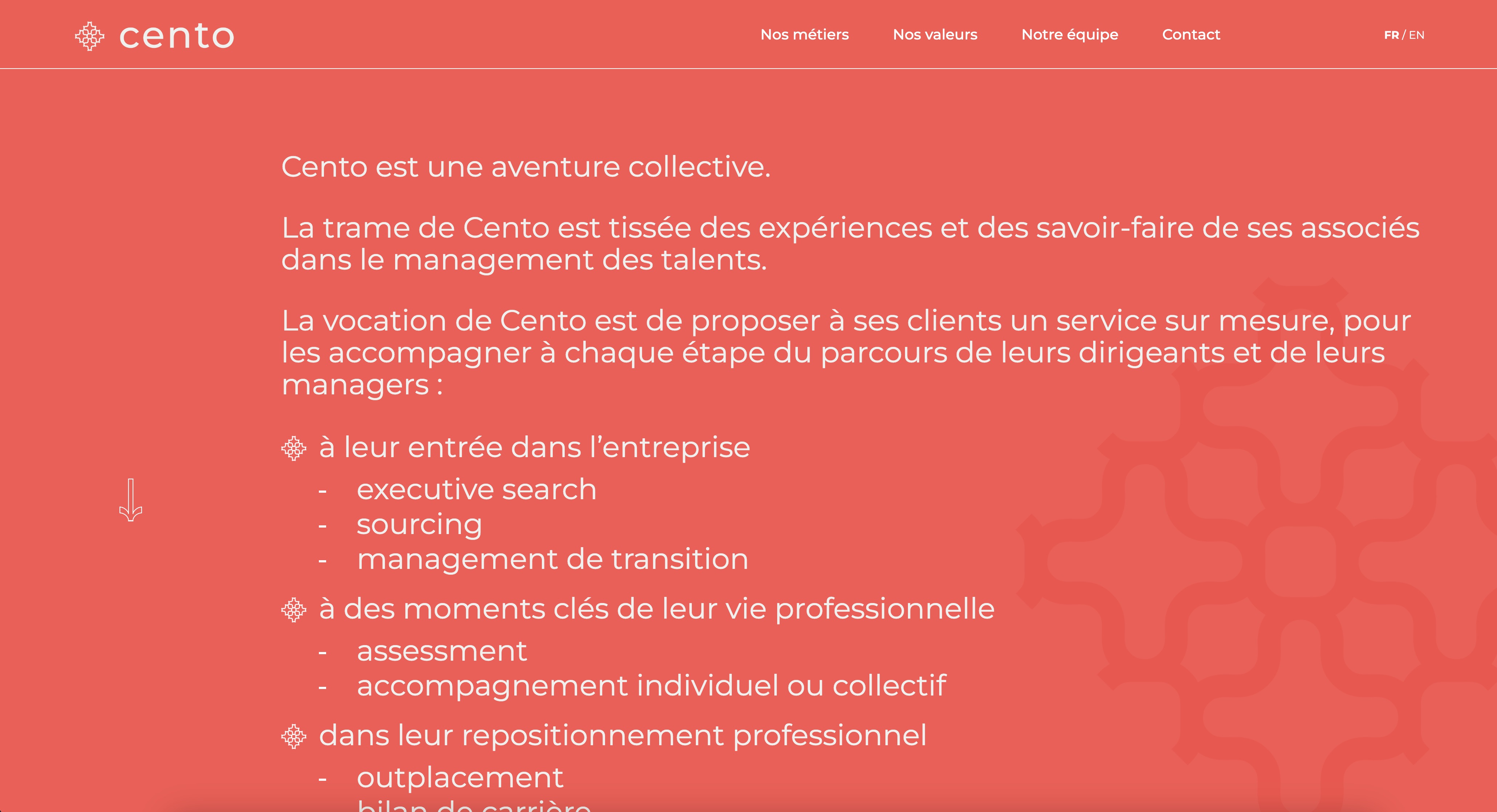 Développement de site internet drupal biarritz- site internet cabinet de recrutement